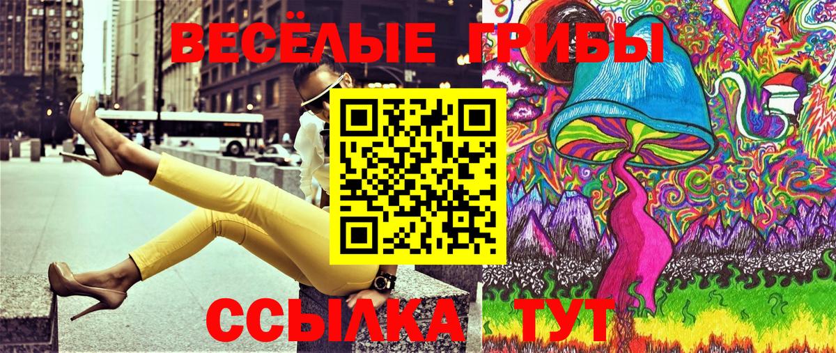 Галлюциногенные грибы Psilocybine cubensis Мурино